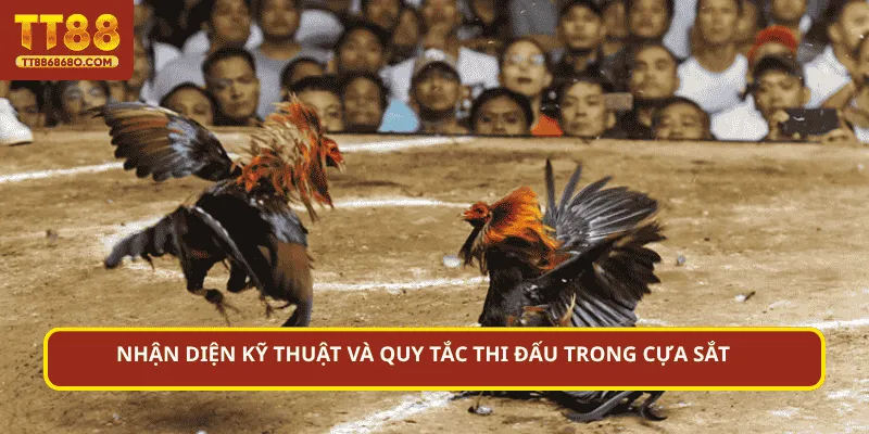 Nhận diện kỹ thuật và quy tắc thi đấu trong cựa sắt